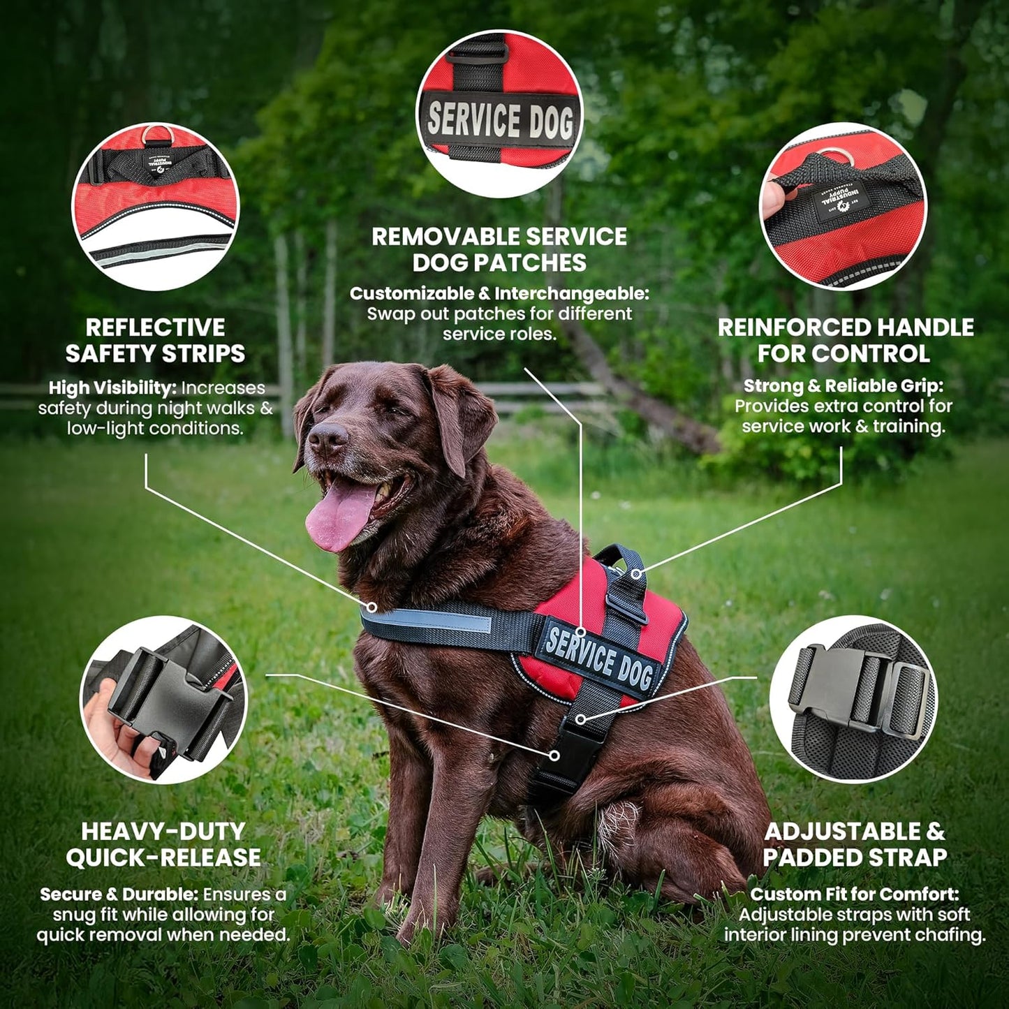 Service Dog Vest with Hook and Loop Straps and Handle - Harness Is Available in 8 Sizes from XXXS to XXL - Service Dog Harness Features Reflective Patch and Comfortable Mesh Design (Black, XXL)