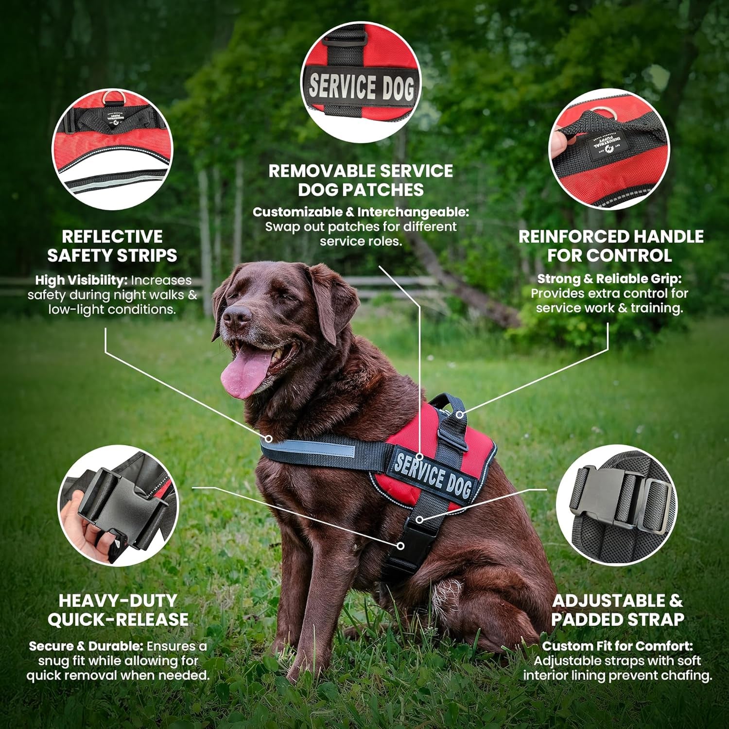 Service Dog Vest with Hook and Loop Straps and Handle - Harness Is Available in 8 Sizes from XXXS to XXL - Service Dog Harness Features Reflective Patch and Comfortable Mesh Design (Black, XXL)