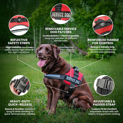 Service Dog Vest with Hook and Loop Straps and Handle - Harness Is Available in 8 Sizes from XXXS to XXL - Service Dog Harness Features Reflective Patch and Comfortable Mesh Design (Black, XXL)